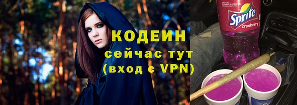 молекула духа Белокуриха