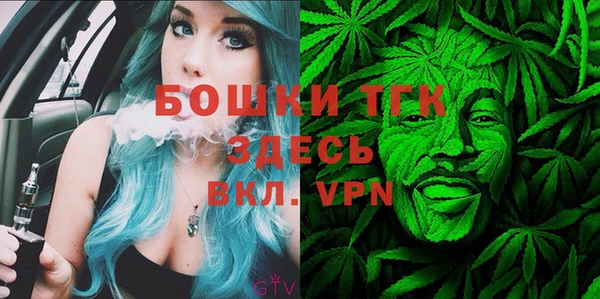 молекула духа Белокуриха