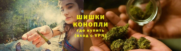 молекула духа Белокуриха
