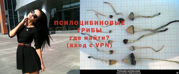 прущая мука Белоозёрский