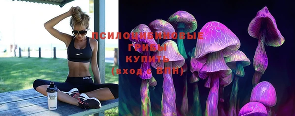молекула духа Белокуриха