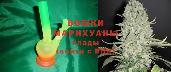 молекула духа Белокуриха